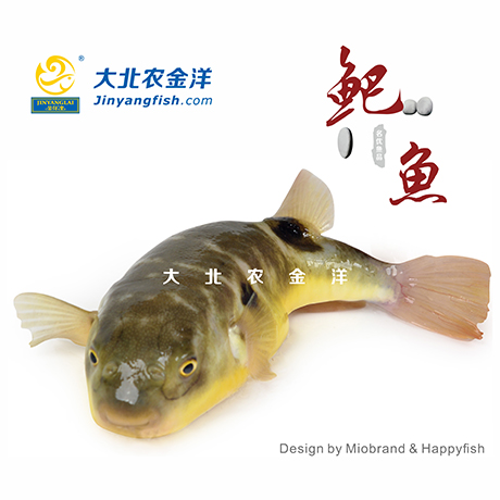 32.00                                      河豚鱼(鲃鱼)