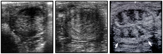 https://oi2dtee1p.qnssl.com/nxsc_149844665042206770160008497976.png